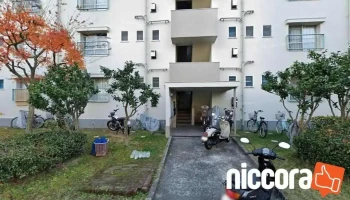 appsolution - 大阪府箕面市