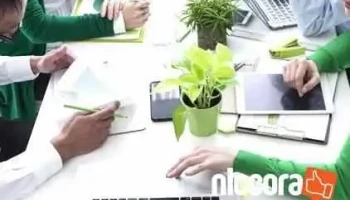 Cyber-garden[サイバーガーデン] It活用のコンサルティング事務所 - 新宮市