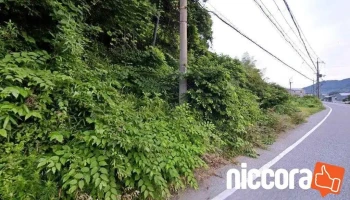Dormira - 米原市