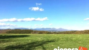 Itコンサルティングファーム 寺子屋コミュニケーション - 鹿追町