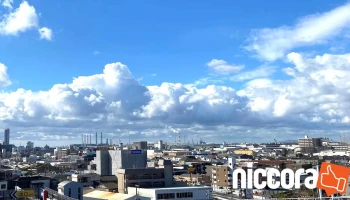 Nextplanning合同会社 - 大阪府堺市