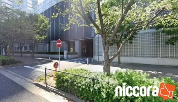 Transition Consulting 日本オフィス - 港区