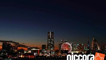 Ultimate System Developers International, Inc.日本営業所 - 横浜市