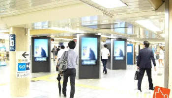 Vizo 株式会社 - 川崎市