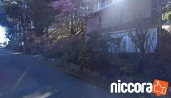 White-Line - 南足柄市