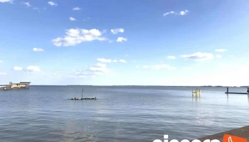 かすみがうら市水族館 - かすみがうら市