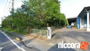 つくばインサル - 下妻市