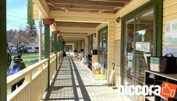つくばインターナショナルスクール - つくば市