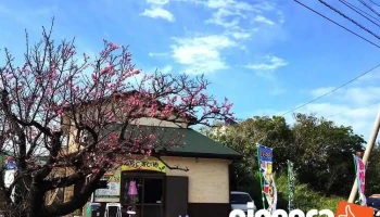ぬちぐすい畑 - うるま市