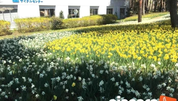 ひたち海浜公園 管理センター - ひたちなか市