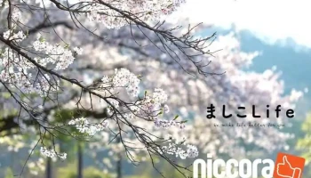 ましこLife - 栃木県