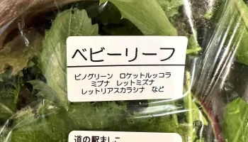 ましこのコンシェルジュ - 栃木県
