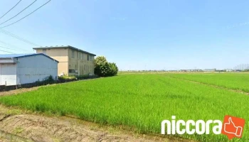 まなざしのデザイン - 碧南市竹原町
