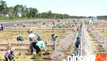 わたりグリーンベルトプロジェクト - 宮城県