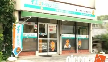 イエステーション 岡崎店 - 岡崎市
