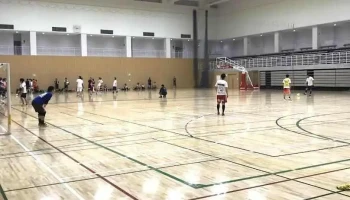 カルッツかわさき（川崎市スポーツ・文化総合センター） - 川崎市