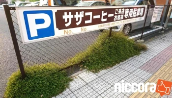 サザコーヒー 本店 - ひたちなか市
