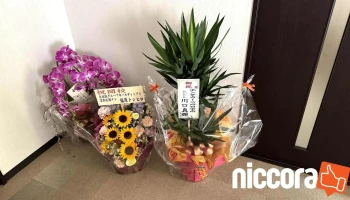 システム本舗えふ 塩浜オフィス - 四日市市