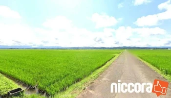 テスト - 上越市