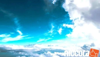 ノーウェブノーライフ - 神戸市