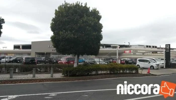 ファッションクルーズ ニューポートひたちなか - ひたちなか市