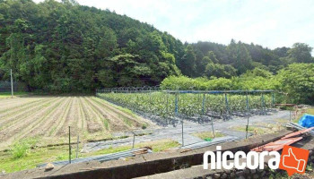 マイクロハード(株) 本社 - 真庭市