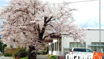 ㈱ネクス - 花巻市