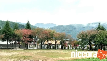 京セラ 長野岡谷工場 - 岡谷市