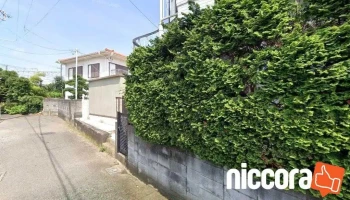 助成金コンサルタント - 藤沢市