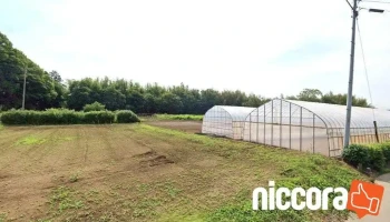 太英 - 常総市