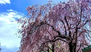 岩手県立大学 滝沢キャンパス - 滝沢市