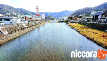 新見市 - 新見市