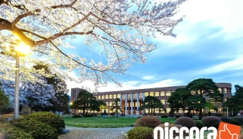東北大学 - 仙台市