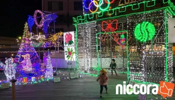 (株)BuzzCreate - 那珂川市