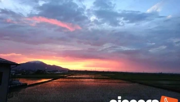 (株)日本コンサルト新潟 - 新潟市