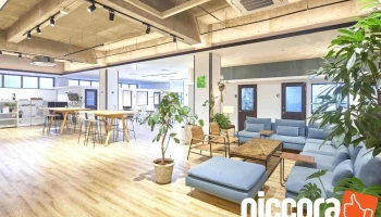 株式会社cacumo - 名護市