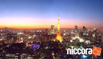 株式会社sdコンサルティング - 四日市市