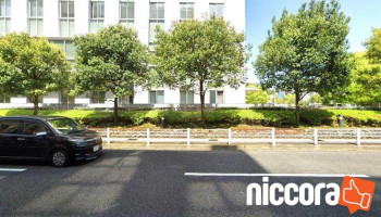 株式会社カナメン - 鹿児島市