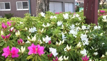 株式会社システムインフォメーション - 各務原市