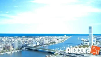 株式会社ブリッジにいがた - 新潟市