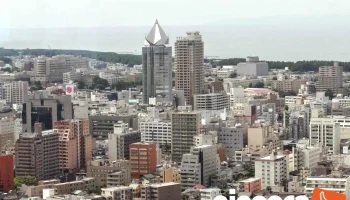 株式会社メディケアネット - 新潟市