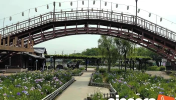 水郷潮来あやめ園 - 潮来市