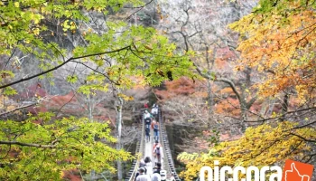 花貫渓谷 - 高萩市