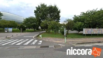 長野カー・コンサルタント - 長野市