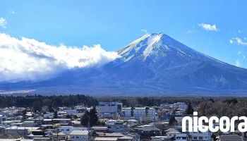 （有）富士リスクコンサルティング - 富士吉田市