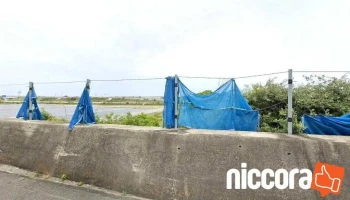 （株）徳島総合コンサルタント - 徳島市