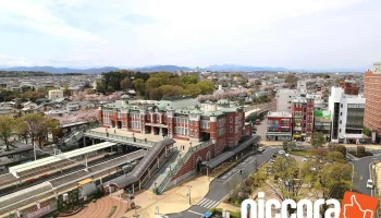 （株）技術開発コンサルタント - 深谷市