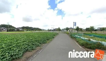 （株）東海建設コンサルタント - 那珂市