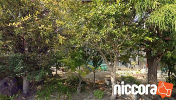 Ｎｉｔサービス福島オフィス - 福島市
