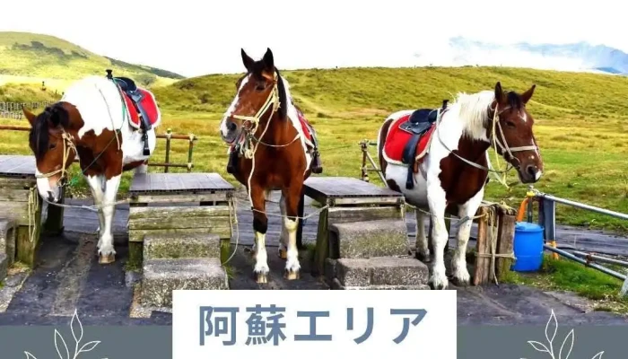 32調 - Japan